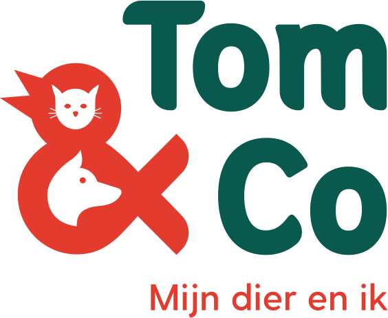 Tom & Co logo